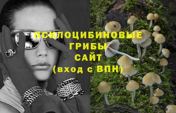 mix Богородицк