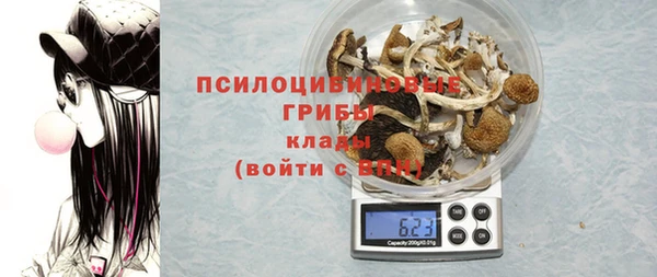 mix Богородицк