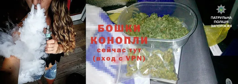 МАРИХУАНА Amnesia  цена наркотик  Новотроицк 